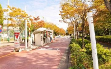 学校内部审计工作总结5篇