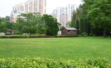 教校内实习总结8篇