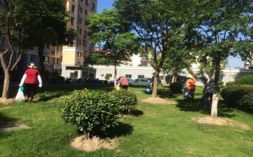 小区物业月工作报告8篇