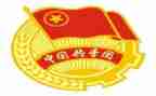 学校团委述职报告范文8篇