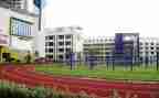 数学教师小学述职报告精选7篇