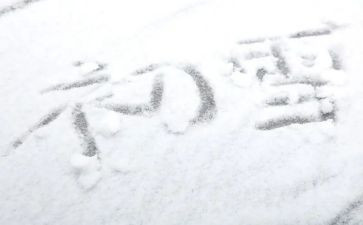 下雪的作文推荐6篇