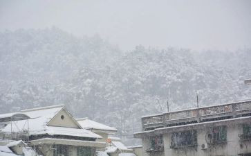 下雪天要小心教案6篇