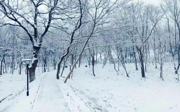 下雪的作文最新7篇