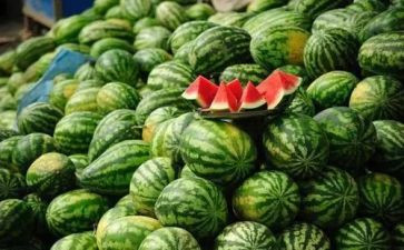大西瓜小西瓜游戏教案6篇