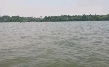 杭州西湖游记作文8篇