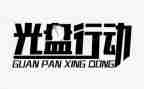 专项行动整治工作总结范文8篇