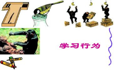 规范教育行为自查报告参考8篇