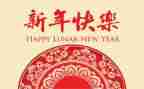 新年作文600字8篇