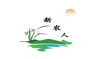 新农保工作报告7篇