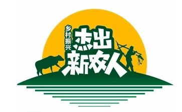 新农村调查实践报告5篇