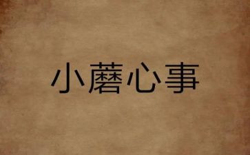 作文我的心事600字6篇