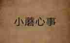 作文我的心事600字6篇