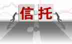 信托资金借款合同7篇