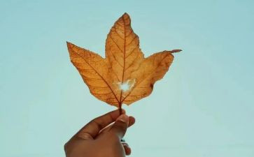 心中的事作文600字参考5篇