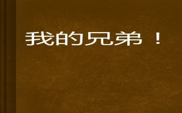 兄弟墓读后感7篇