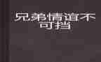 二兄弟读后感5篇