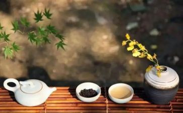 廉洁修身的读后感6篇