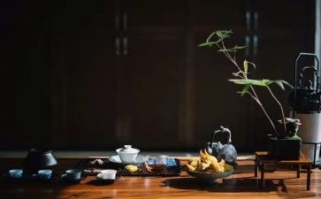 衣食与修养发言稿800字5篇