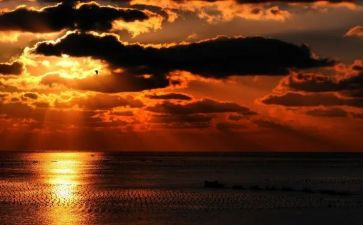 写夕阳作文6篇