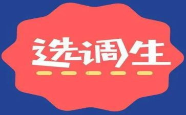 选调生个人总结5篇