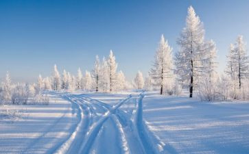 曹雪芹读后感6篇