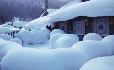 雪景作文300字8篇