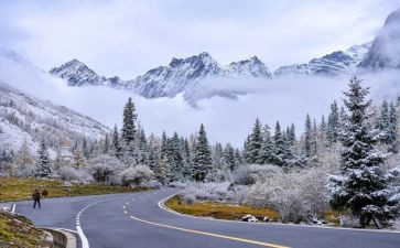雪狐狸读后感8篇