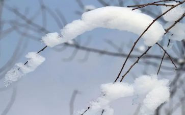 雪的演讲稿100字8篇