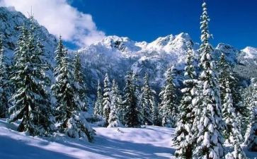 荒原雪读后感6篇