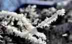 雪人读后感7篇