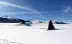 幼儿园关于雪的教案模板8篇