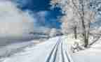 雪的演讲稿100字模板7篇