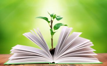 小学二上教学工作总结范文精选5篇