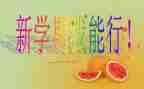 初一学生半学期总结7篇