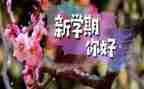 班级一学期总结模板5篇