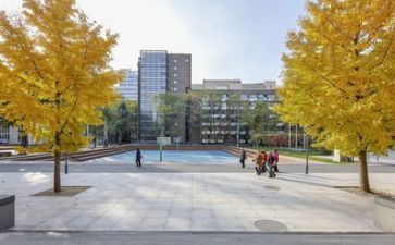 学校日工作总结8篇