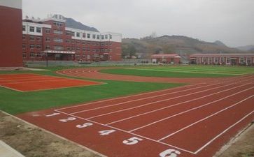 演讲稿关于学校8篇