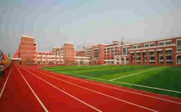 学校领导领导述职报告8篇