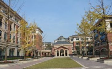 学校财务出纳工作总结6篇