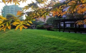 学校的安全工作报告通用6篇