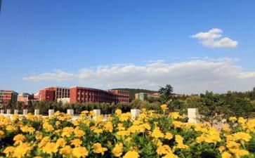 学校毕业的自我鉴定最新6篇