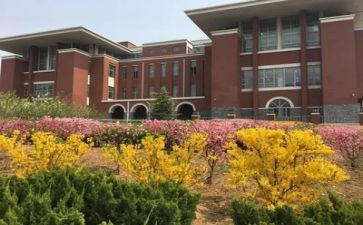 2023培训学校工作报告6篇