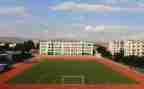 关于学校食堂的调查报告5篇
