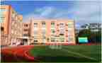 学校专项工作总结优秀7篇