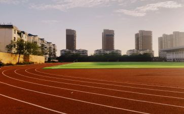 小学学校体育工作总结参考8篇