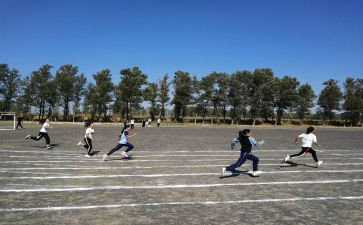 2024年学校体育工作总结6篇