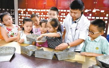 小学艺术活动方案6篇