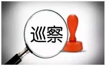 村向区巡察组工作报告推荐7篇
