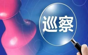 巡察组个人述职报告6篇